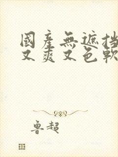 国产无遮挡又黄又爽又色软件