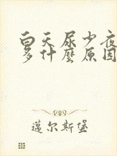 白天尿少夜间尿多什么原因