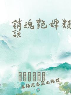 销魂艳婢类似小说