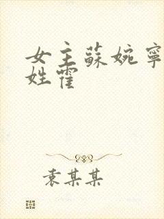 女主苏婉宁男主姓霍