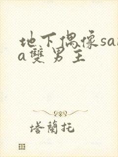 地下偶像sana双男主