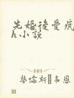 先婚后爱疯批高h小说