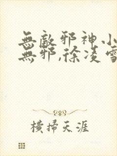 无敌邪神小说柳无邪,徐凌雪txt