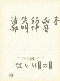 消失的凶手第三部叫什么