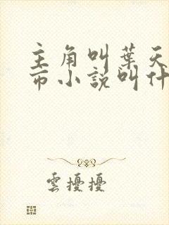 主角叫叶天的都市小说叫什么