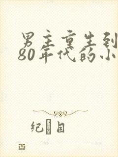 男主重生到7080年代的小说