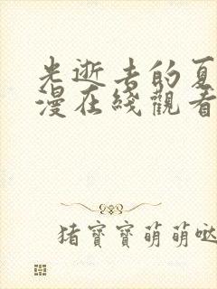 光逝去的夏天动漫在线观看免费