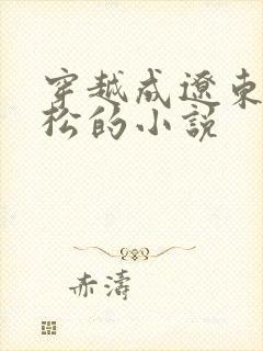 穿越成辽东王朱松的小说