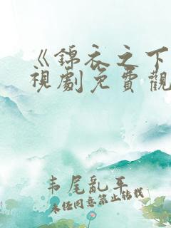 《锦衣之下》电视剧免费观看