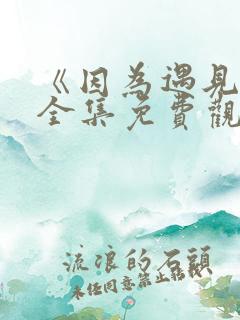 《因为遇见你》全集免费观看