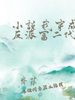 小说 我穿成了反派富二代