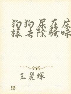 狗狗尿在床垫怎样去除骚味