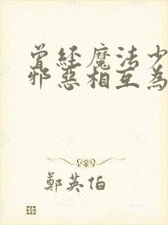 曾经魔法少女和邪恶相互为敌