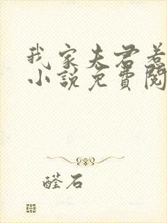 我家夫君惹不起小说免费阅读