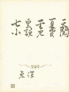 七皇子夏天穿越小说免费阅读