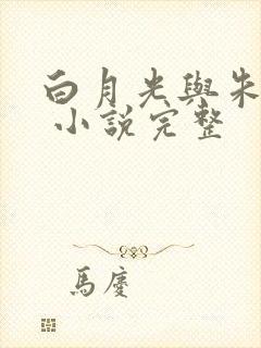 白月光与朱砂痣 小说完整