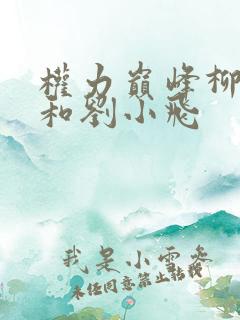 权力巅峰柳擎宇和刘小飞