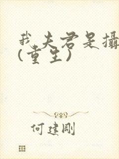 我夫君是摄政王(重生)