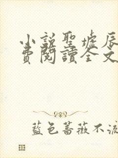 小说圣墟辰东免费阅读全文无窗口