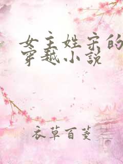 女主姓宋的古代穿越小说