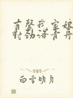 有声我家娘子不对劲洛青舟小说