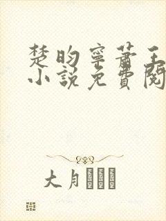 楚昀宁萧王穿越小说免费阅读