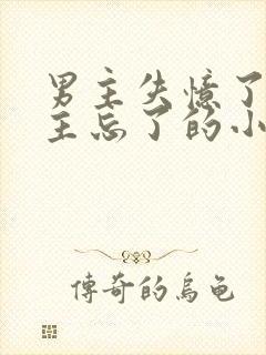 男主失忆了把女主忘了的小说