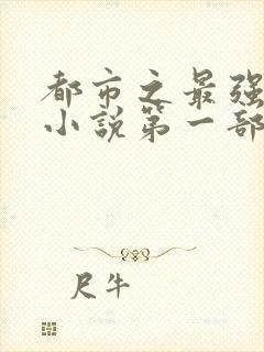 都市之最强狂兵小说第一部