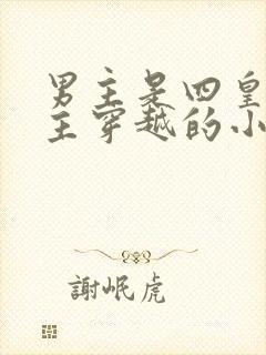 男主是四皇子女主穿越的小说