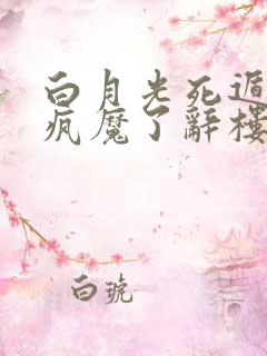 白月光死遁后他疯魔了辞楼西免费