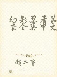 幻影忍者第11季全集中文版