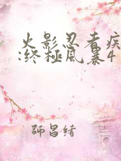 火影忍者疾风传:终极风暴4