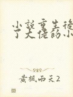 小说重生后我成了大佬的小心肝