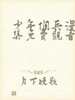 少年佣兵漫画全集免费观看