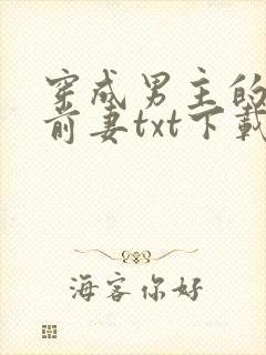 穿成男主的炮灰前妻txt下载