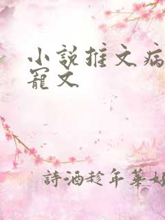小说推文病娇甜宠文