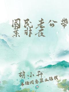 国民老公带回家叶非夜