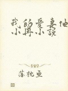 我的爱妻他的媳小冉小说