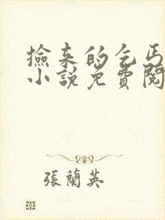 捡来的乞丐保姆小说免费阅读