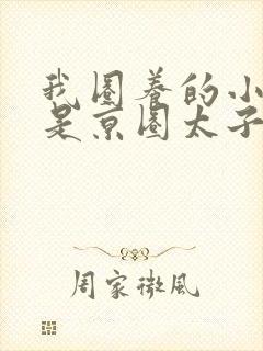 我圈养的小白脸是京圈太子爷短剧