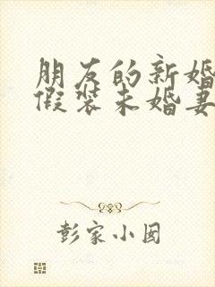 朋友的新婚妻子假装未婚妻小说