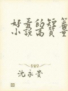 好看的短篇言情小说高质量文笔好