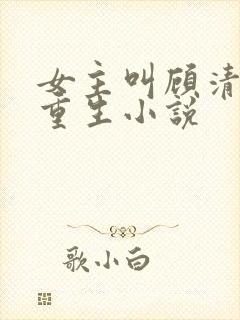 女主叫顾清欢的重生小说