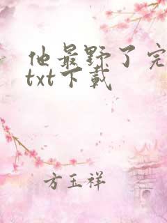 他最野了完整版txt下载