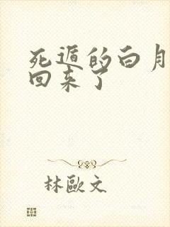 死遁的白月光又回来了