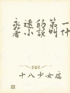 永远的第一名原著小说叫什么