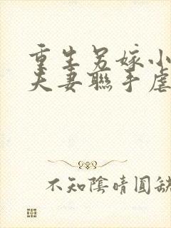 重生另嫁小叔,夫妻联手虐渣小说