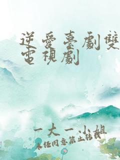 逆爱台剧双男主电视剧