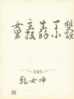 女主生了双胞胎男孩的小说