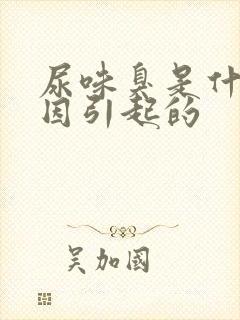 尿味臭是什么原因引起的